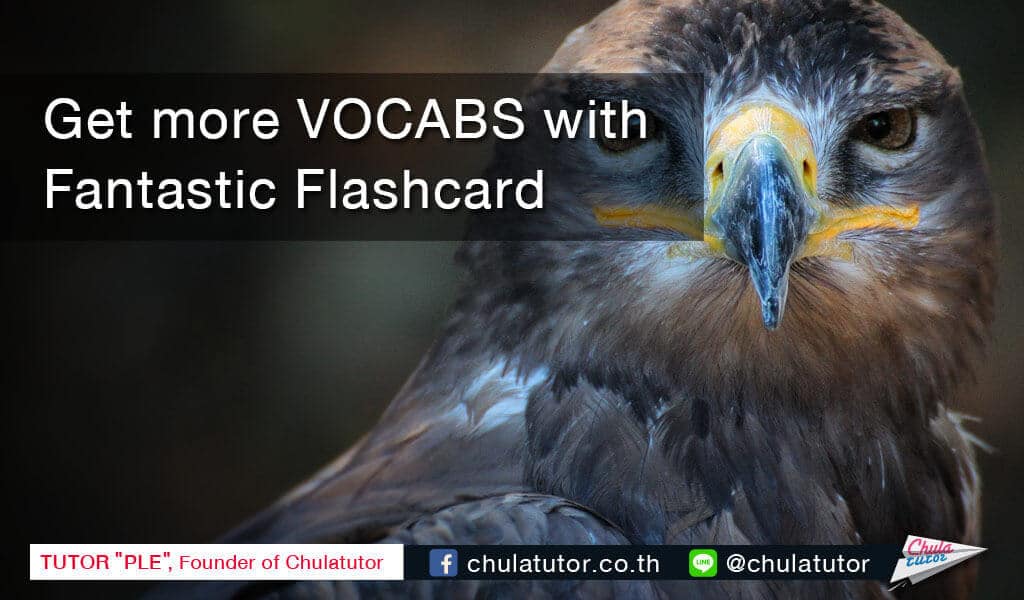 get more vocabs with fantastic flashcard