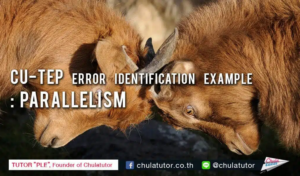cu-tep error identification example parallelism