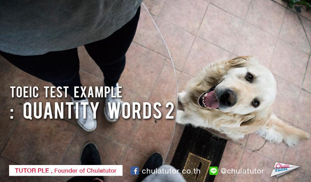 TOEIC TEST EXAMPLE : quantitiy words