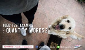 TOEIC TEST EXAMPLE : quantitiy words