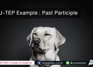 past participle