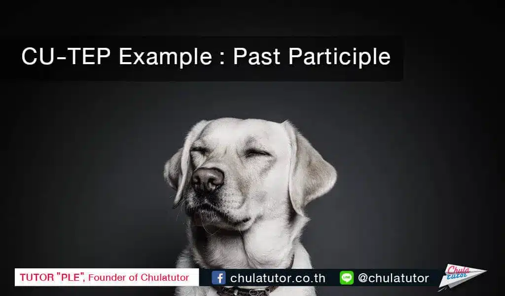 past participle