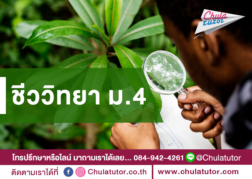 ชีววิทยา ม.4