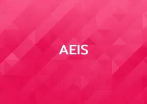 AEIS 1
