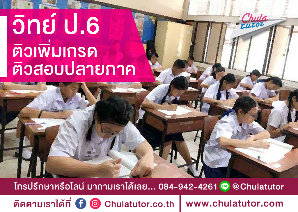วิทยาศาสตร์ ป.6