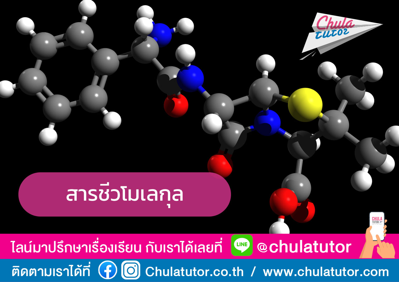 สารชีวโมเลกุล