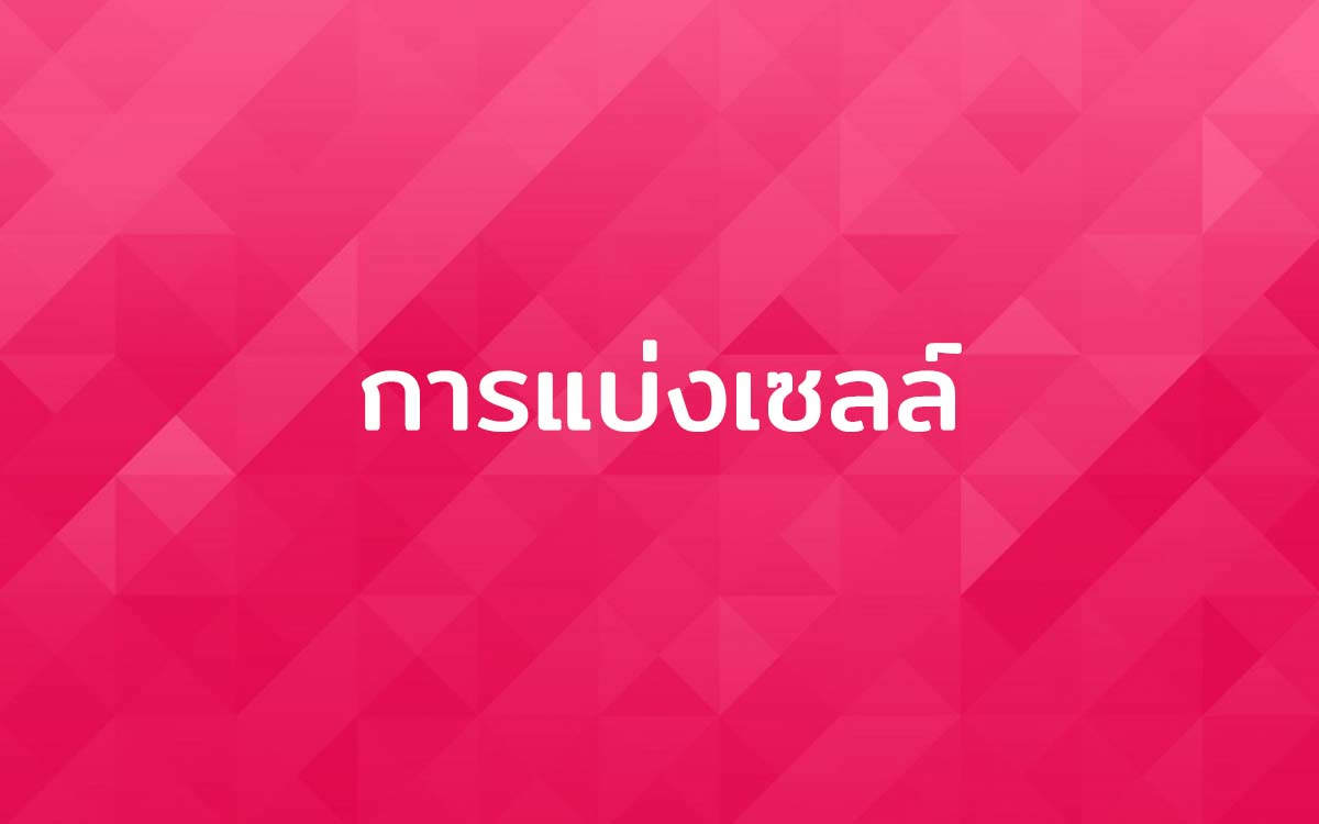 การแบ่งเซลล์