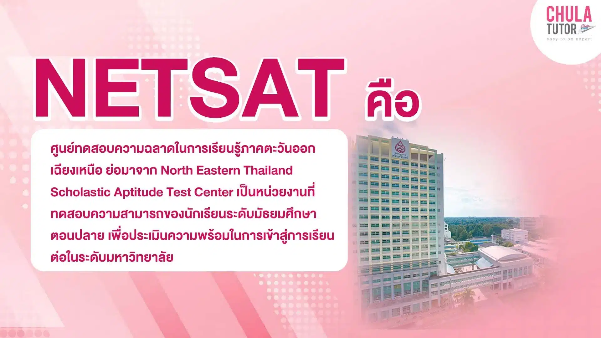 NETSAT คืออะไร