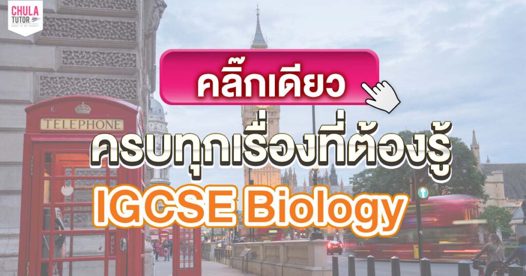 IGCSE Biology